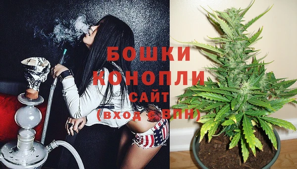 дживик Аркадак