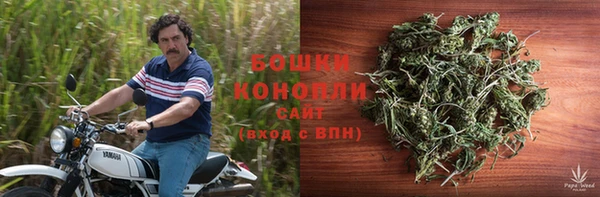 дживик Аркадак